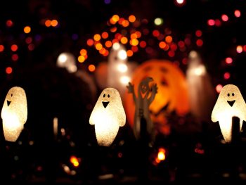 Ghost and pumpkin sting lights - Halloween Decoration -Things to do on Halloween San Diego