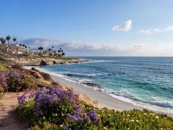 La Jolla Shore with ocean on a sunny day