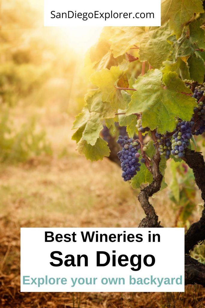San Diego Wineries - Best San Diego wine tasting. Whether you are a looking for a romantic date idea in San Diego or want to have some fun with friends, wine tasting is always a good idea in San Diego - San Diego Winery - Wineries in San Diego California - San Diego Wine Tasting - San Diego Wine - Things To do in San Diego - San Diego Things To do - Temecula Wine #SanDiego #wine #winery #winetasting #vineyards #winelover #california #Socal #sandiegoexplorer