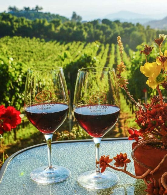 two wine glasses on table in front of green vineyards - San Aiego wineries