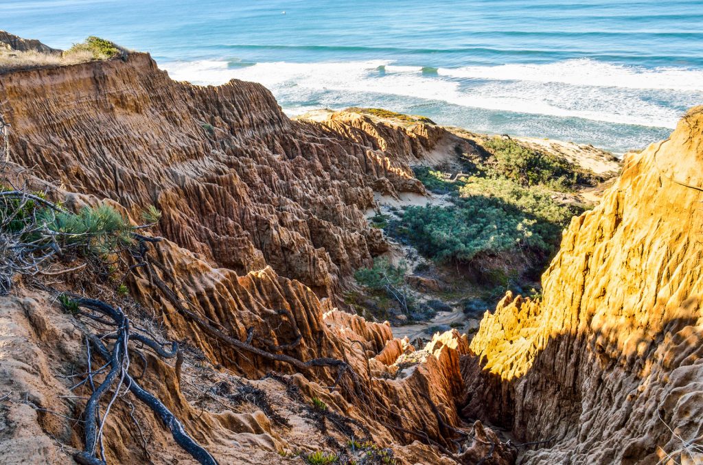 San Diego Winter Hikes: Closeup pattern of torrey pine eroded sandstone cliffs on coast in La Jolla by San Diego