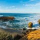 View of La Jolla Beach with a concrete fortification and cliffs surrounding a small sand beach with sea lions