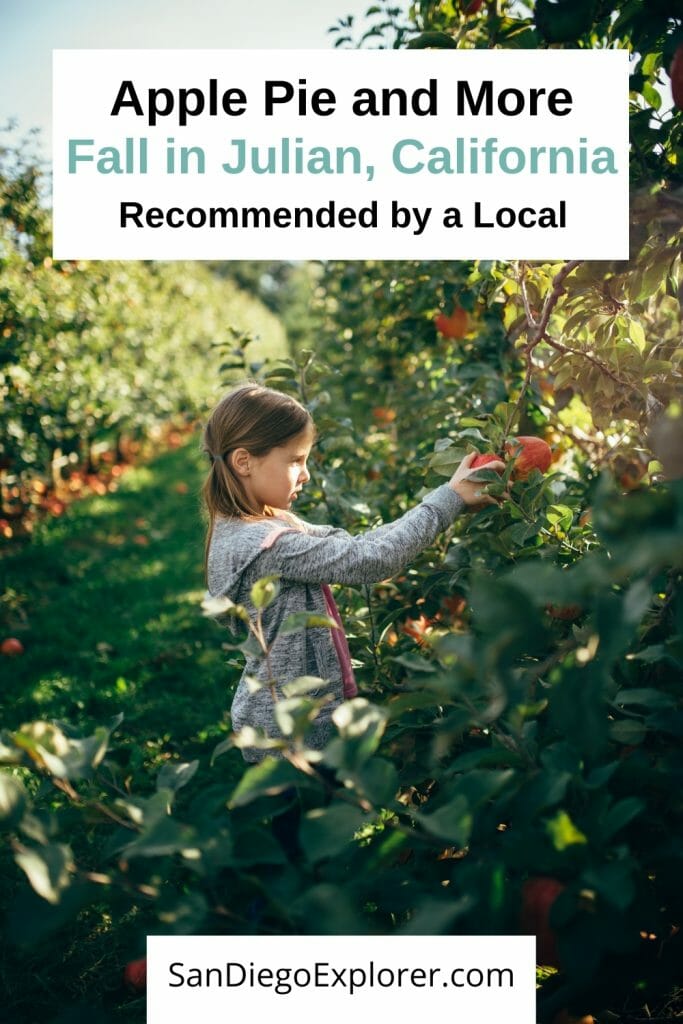 Julian Apple Pie is famous throughout Southern California and beyond and a trip to this little country town in Southern California is the perfect fall getaway. From apple picking to the obligatory apple pie tasting, there are lots of fun fall activities in Julian, California - San Diego Things to do in October - October in San Diego - Fall in San Diego - Julian Apple Pie - Julian California - Julian Apples - San Diego Getaway - San Diego day trip - Mining Town - Apple Harvest - Apple Orchards