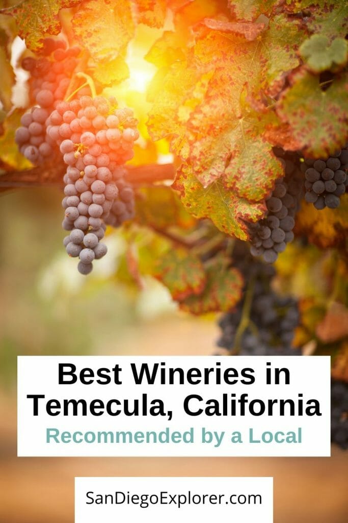 10 amazing Temecula Wineries you MUST visit if you are a Wine Lover - Temecula Wine Tasting - Best Wineries in Temecula, California - Temecula Wineries - Things to do in Temecula - Wine Tasting Southern California - Best Wineries California - Visit California - Southern California Road Trip - San Diego Wine Tasting - San Diego Things To Do - San Diego Wine Tours - San Diego Wine Tasting Tours - Temecula Wine Tasting Tours