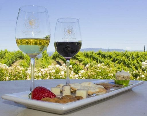 plate with cheese and meats on table with two glasses of wine - Temecula vineyards in the background