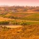 Landscape photo of Temecula valley with vineyards and wineries - photo has an orange tinge and light pink sky.