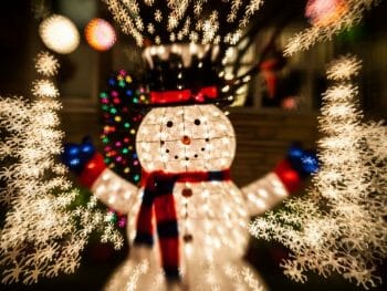 Chrismas Lights San Diego Snowman