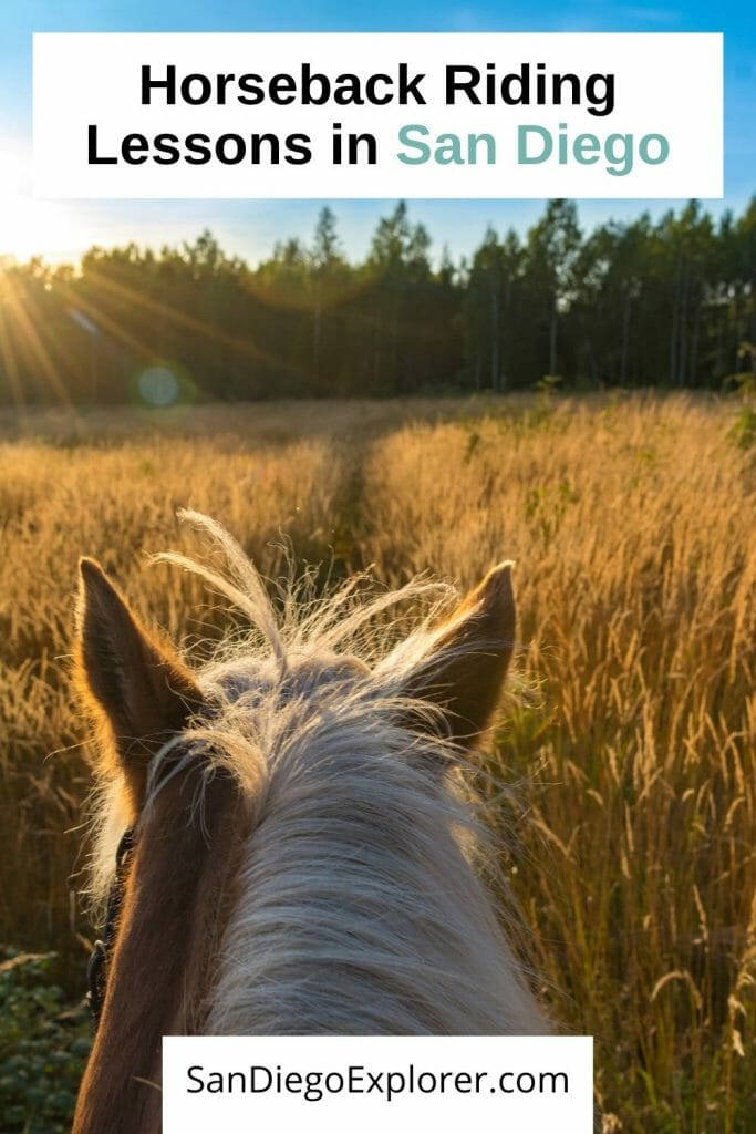 Are you looking for some fun in the saddle? Here are the best places to go horseback riding in San Diego on the beach, a trail, take lessons, or send your kid to a Horseback riding camp. San Diego horseback riding - Horseback riding San Diego - Horseback Riding camp San Diego - Riding Lessons San Diego - San Diego horse ranches - where to go horseback riding in San Diego - Equestrian center San Diego - San Diego Equestrian - San Diego Horseback riding on the beach - Beach rides San Diego