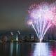 Pink New Years Eve Fireworks San Diego Skyline and San Diego Bay