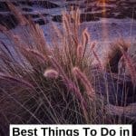 Coronado is utterly charming and a favorite among locals and tourists alike. Here are the top things to do on Coronado Island you can't miss! Southern California - Coronado San Diego - Things to do in San Diego - Coronado California - San Diego Itinerary - California Beach Town - Best Beaches in California - Southern California Beaches - SoCal Beach Town - California Itinerary - San Diego Things To Do - San Diego Beaches