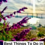 Coronado is utterly charming and a favorite among locals and tourists alike. Here are the top things to do on Coronado Island you can't miss! Southern California - Coronado San Diego - Things to do in San Diego - Coronado California - San Diego Itinerary - California Beach Town - Best Beaches in California - Southern California Beaches - SoCal Beach Town - California Itinerary - San Diego Things To Do - San Diego Beaches