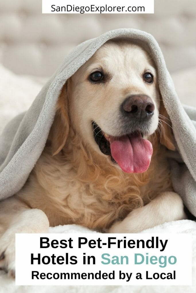 Traveling with your pet to San Diego? Whether you are looking for a pet-friendly hotel near the beach or right in the heart of downtown, we got you covered. Here are the best pet-friendly hotels in San Diego - from budget to luxury. San Diego pets - San Diego pet friendly - San Diego dog friendly - dog friendly hotels San Diego - San Diego hotels - San Diego dogs - Travel With Pets - San Diego Beach Resorts - San Diego Travel Tips - Pet Travel - Visit San Diego