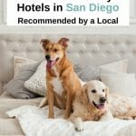 Traveling with your pet to San Diego? Whether you are looking for a pet-friendly hotel near the beach or right in the heart of downtown, we got you covered. Here are the best pet-friendly hotels in San Diego - from budget to luxury. San Diego pets - San Diego pet friendly - San Diego dog friendly - dog friendly hotels San Diego - San Diego hotels - San Diego dogs - Travel With Pets - San Diego Beach Resorts - San Diego Travel Tips - Pet Travel - Visit San Diego