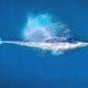 Aerial photo of whale swimming left to right, blowing and creating a small rainbow over the blow