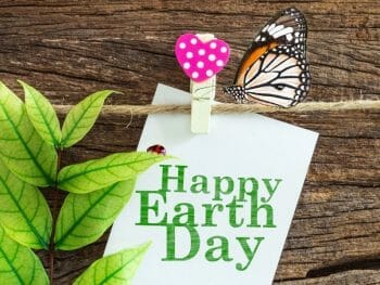 Wood board with white paper note reading Happy Earth day, a branch with leaves, a mushroom pin and a butterfly