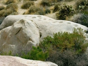 Grinding holes in a large stone boulder - Kumeyaay Tribe history San Diego