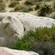 Grinding holes in a large stone boulder - Kumeyaay Tribe history San Diego