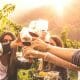 group of people drinking wine in a vineyard during sunset