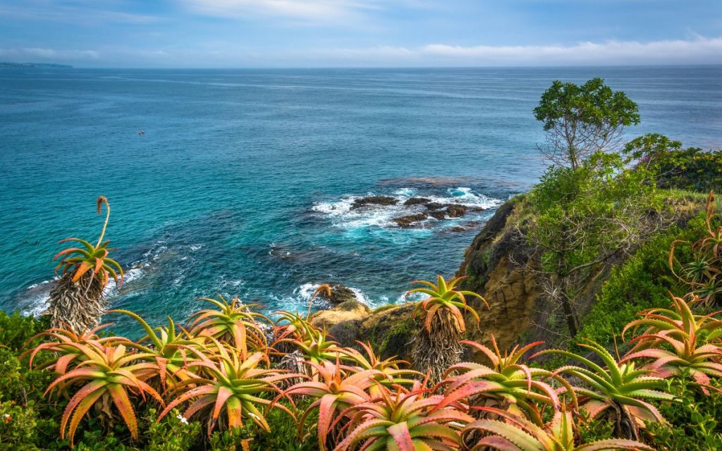 coastal views in Laguna Beach California