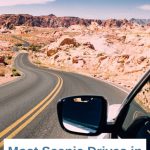 San Diego Scenic Drives take you from the Ocean to the Desert to the mountain.