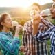 group of people drinking wine in a vineyard during sunset