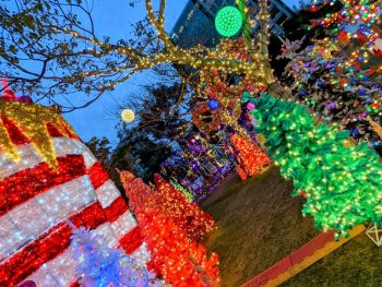 Christmas trees and Holiday decor at Petco Park Holiday Market San Diego