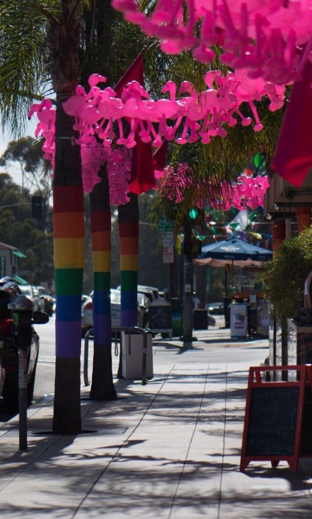 Shopping district with pride palm trees and flamingo decorations. Hillcrest neighborhood San Diego.
