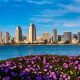 San Diego skyline in background with San Diego Bay and purple flowers in foreground on sunny day. San Diego in April.
