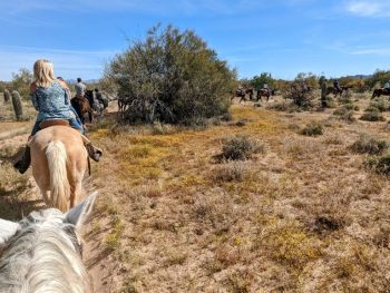 Line of horses riding through Sonoran Desert near Scottsdale