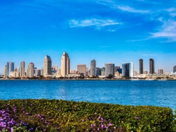 San Diego skyline in background with San Diego Bay and purple flowers in foreground on sunny day. May in San Diego.
