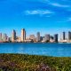 San Diego skyline in background with San Diego Bay and purple flowers in foreground on sunny day. May in San Diego.