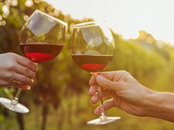 Close up of couple cheers-ing wine glasses with red wine in vineyard during sunset. Valle de Guadalupe tours from San Diego.