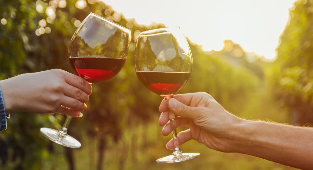 Close up of couple cheers-ing wine glasses with red wine in vineyard during sunset. Valle de Guadalupe tours from San Diego.