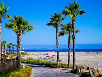 Palm tree lined path along white sand beach overlooking Pacific Ocean on sunny summer day with Hotel del Coronado in distance. Coronado Island, San Diego in July.