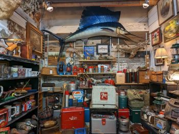 Booth at a thrift store in San Diego with a fishing/hunting theme