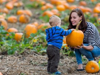 Mother holding pumpkin for young child touch in pumpkin patch during warm day in fall. San Diego in October.