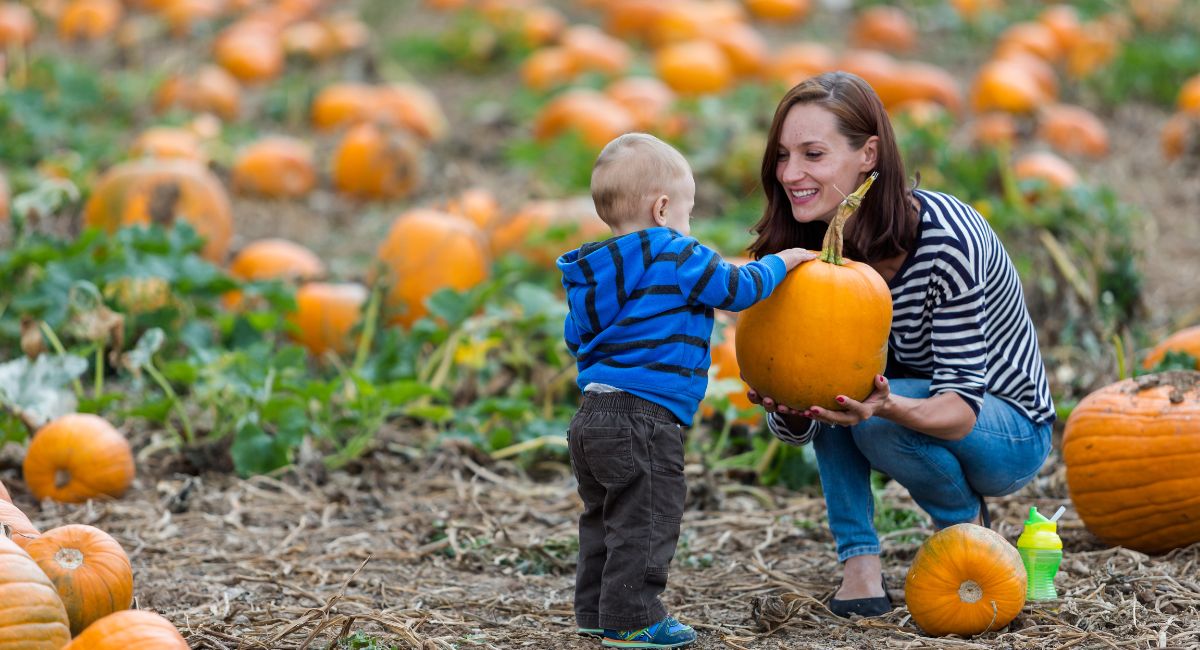 San Diego in October: Weather, Events & Best Things to Do [2026]