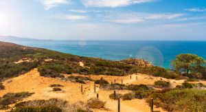 Black's Beach in San Diego: Everything You Need To Know - San Diego