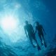Silhouette of male and female snorkeling in dark water with sun shining through surface. snorkeling san diego.