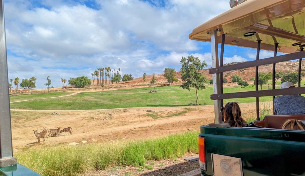 African Tram Experience at San Diego Safari Park