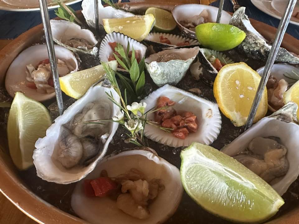 Fresh oysters at Latitud 32