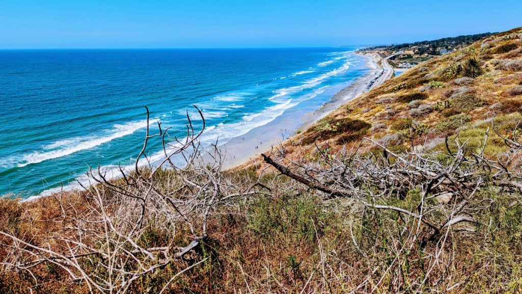 View from Torrey Pines over the beach looking north
