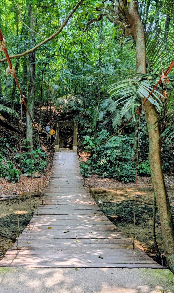 Hanging Bridge at Palenque