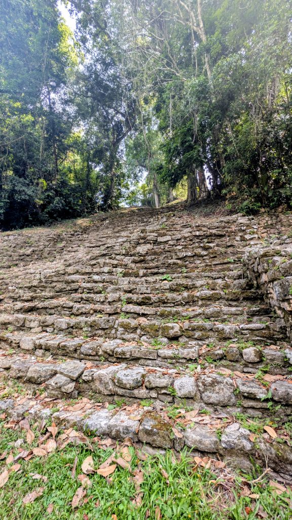 Grand Staircase at Yaxchilan Mayan Ruins