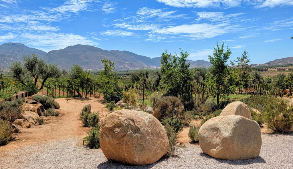 Valle de Guadalupe Views at Bruma Winery Resort