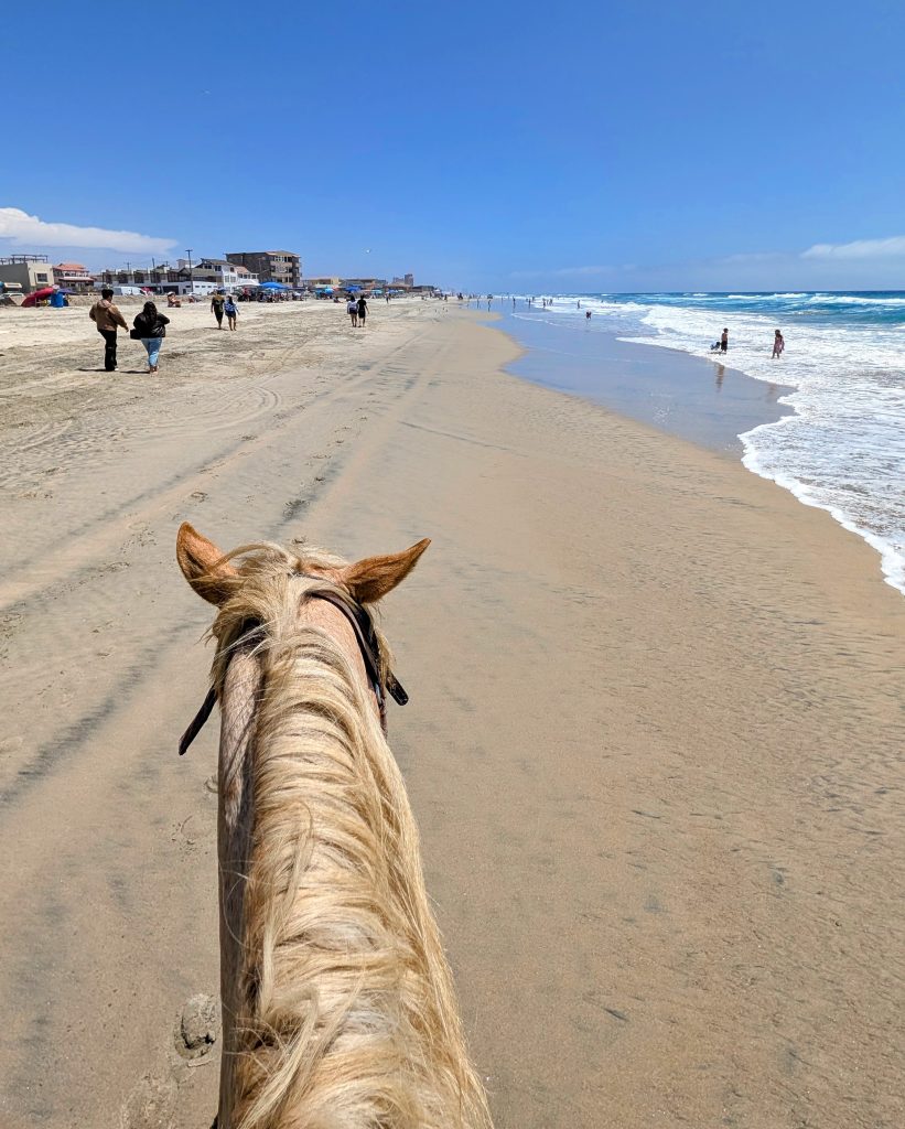 Horseback Riding on Rosarito Beach
