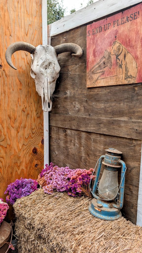 Aromas & Encino Flower Farm Rosarito