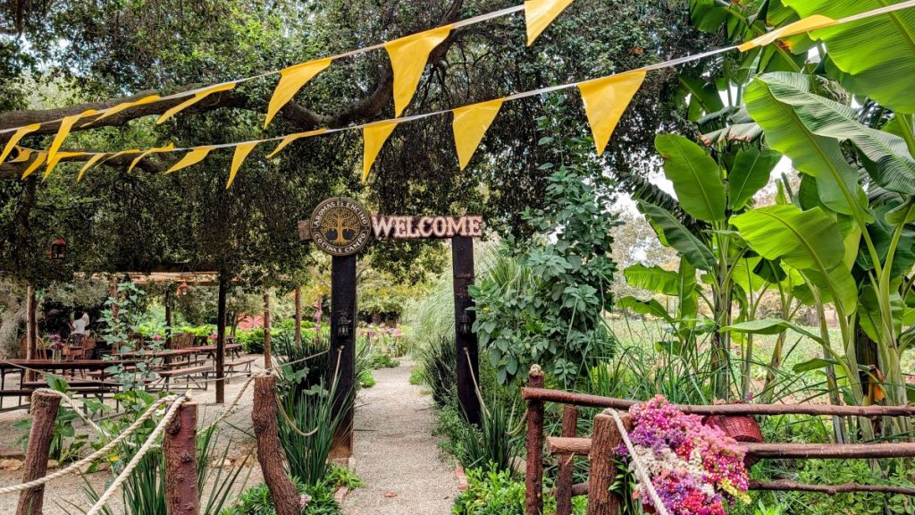Aromas & Encino Flower Farm Rosarito