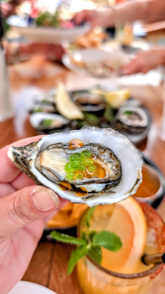 Oysters at Los Portales