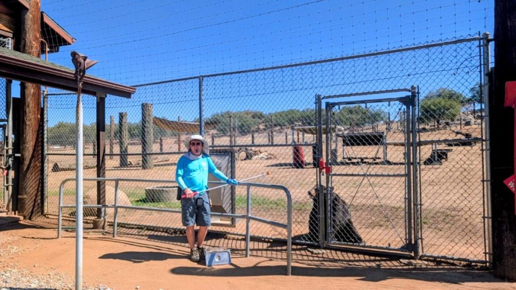 Volunteer guide at Lions Tigers and Bears Sanctuary San Diego Alpine